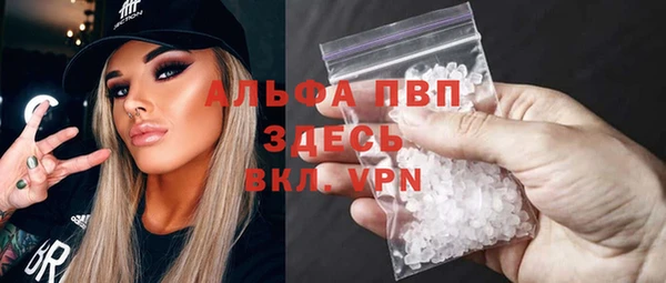 apvp Алзамай