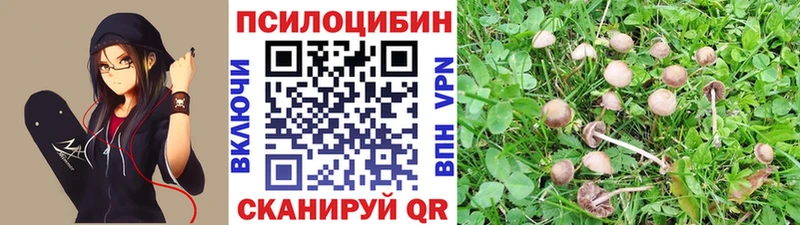 Псилоцибиновые грибы ЛСД  Среднеколымск 